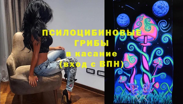 первитин Няндома