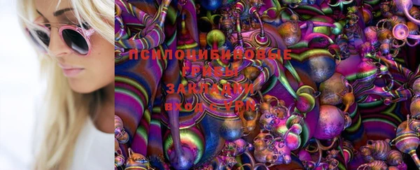 прущие крисы Алексин